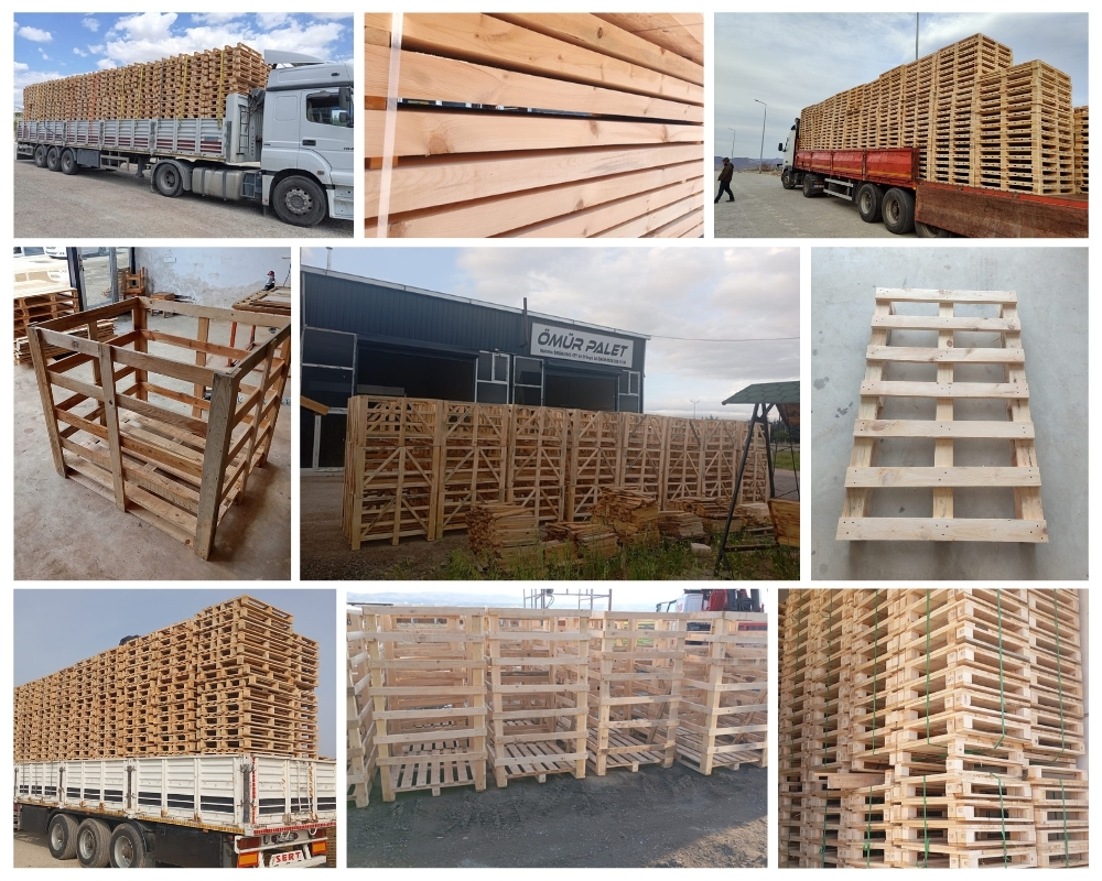 Campi Bisenzio Palette Europe, Acheter des palettes en gros